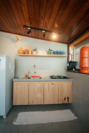 Placa de cocina, cafetera expreso, tostadora, licuadora