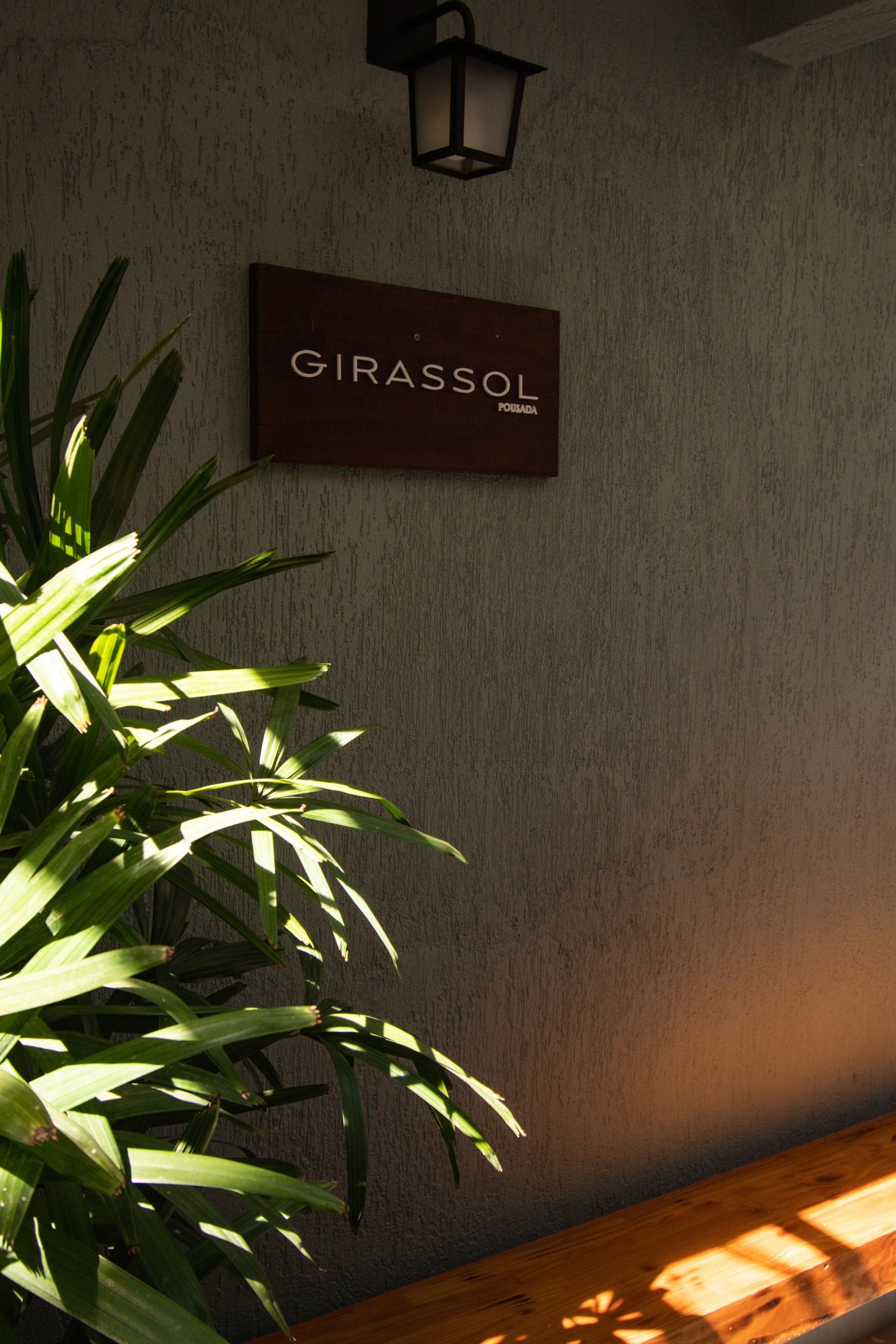 Paredes com uma placa que diz 'GIRASSOL' e uma planta em vaso.