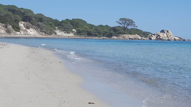 Ein Strand mit klarem Wasser, sandigem Ufer und felsigen Klippen mit Bäumen.