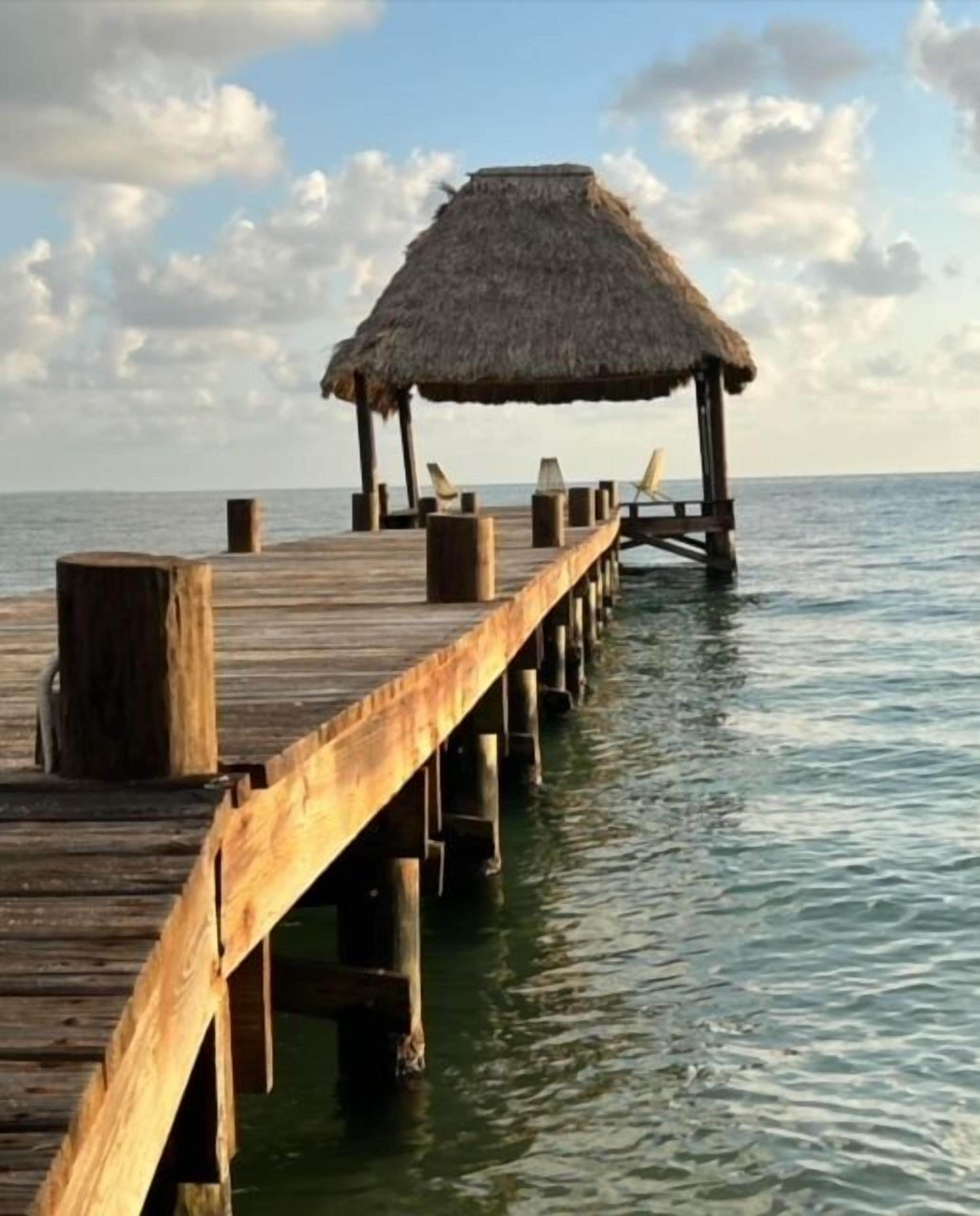 d90942bc-10e9-4d20-8bf4-2ec302a78ad4