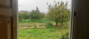 Interior - - Fermière - (Tunis)