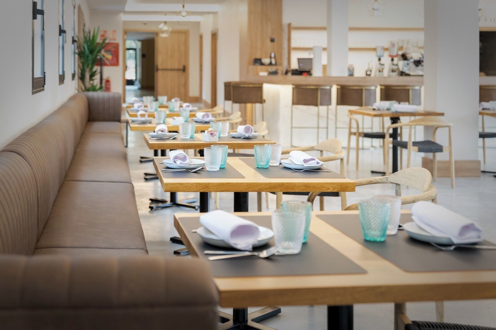 A modern dining area with long tables, chairs, and neatly arranged table settings including plates, glasses, and napkins.
