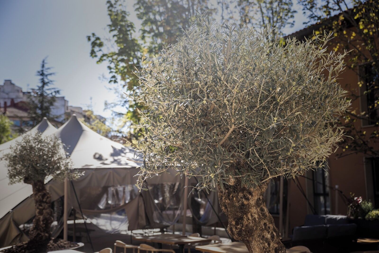 Photo - Hotel & Spa Convento San Francisco