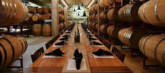 Cozy Cabin w Pvt Heated Pool Under Epic TX Stars