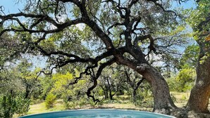 A swimming pool surrounded by trees. - Chic Barndo • Heated Pool, Firepit, Trails, Stars (Dripping Springs)