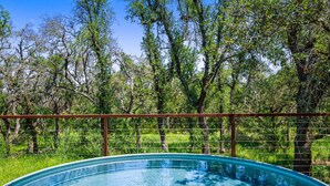 Une piscine entourée d’une clôture en métal, bordée d’arbres et de verdure.