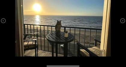 Beachfront condo 1 bedroom