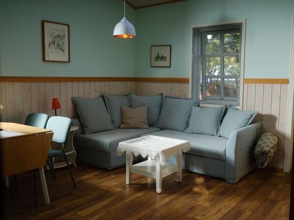 TV, books - Backyard Village - Turquoise House (Hveragerði)