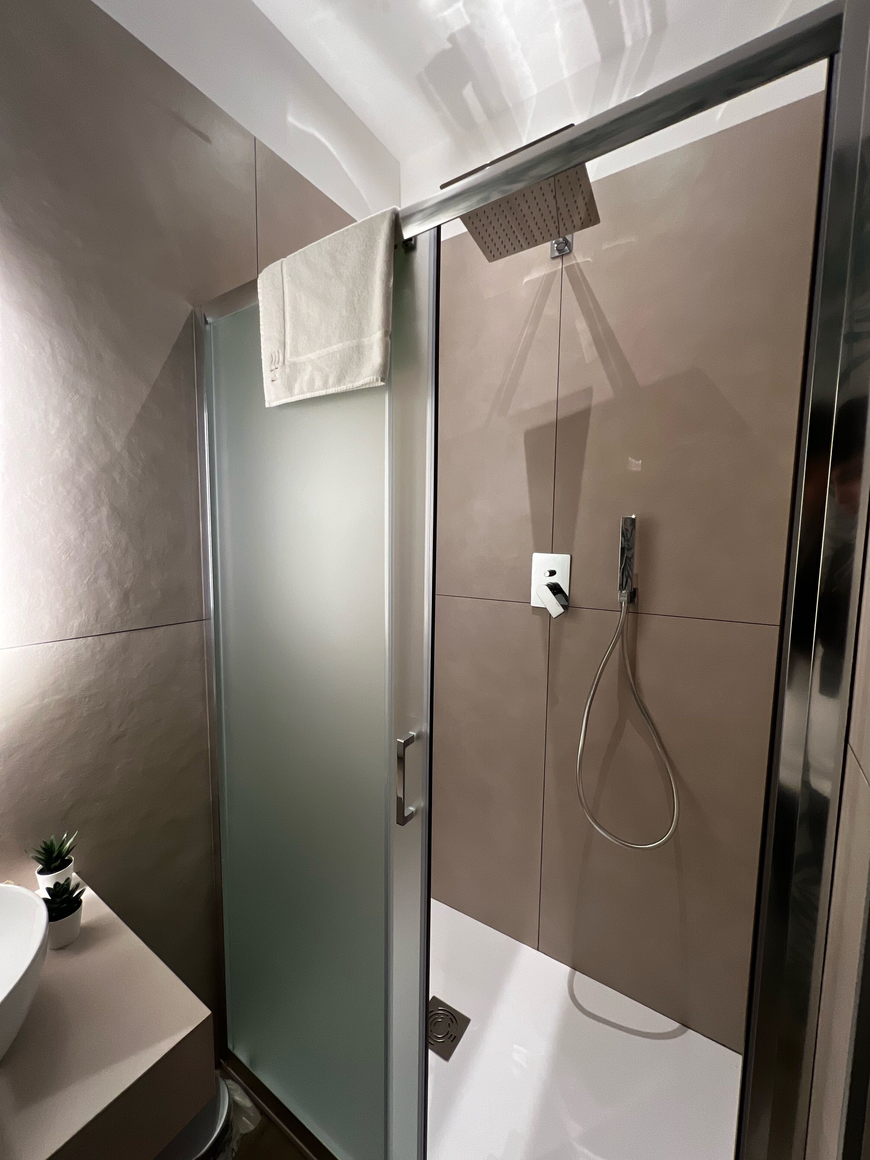 Une salle de bain moderne avec une douche à parois de verre, un lavabo blanc et une petite plante en pot.