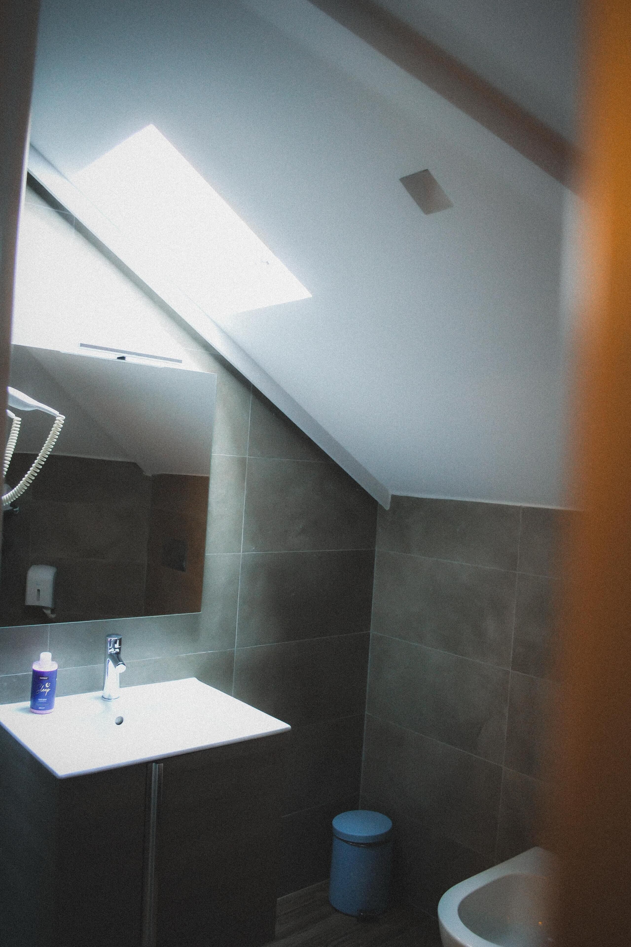 A bathroom with a skylight, a sink, a mirror, a toilet, and a trash bin.