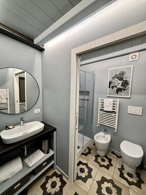 Shower, hair dryer, bidet, towels