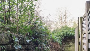 A narrow stone pathway leading through a rustic stone wall with ivy and trees. - Basement Flat 43 (Keighley)