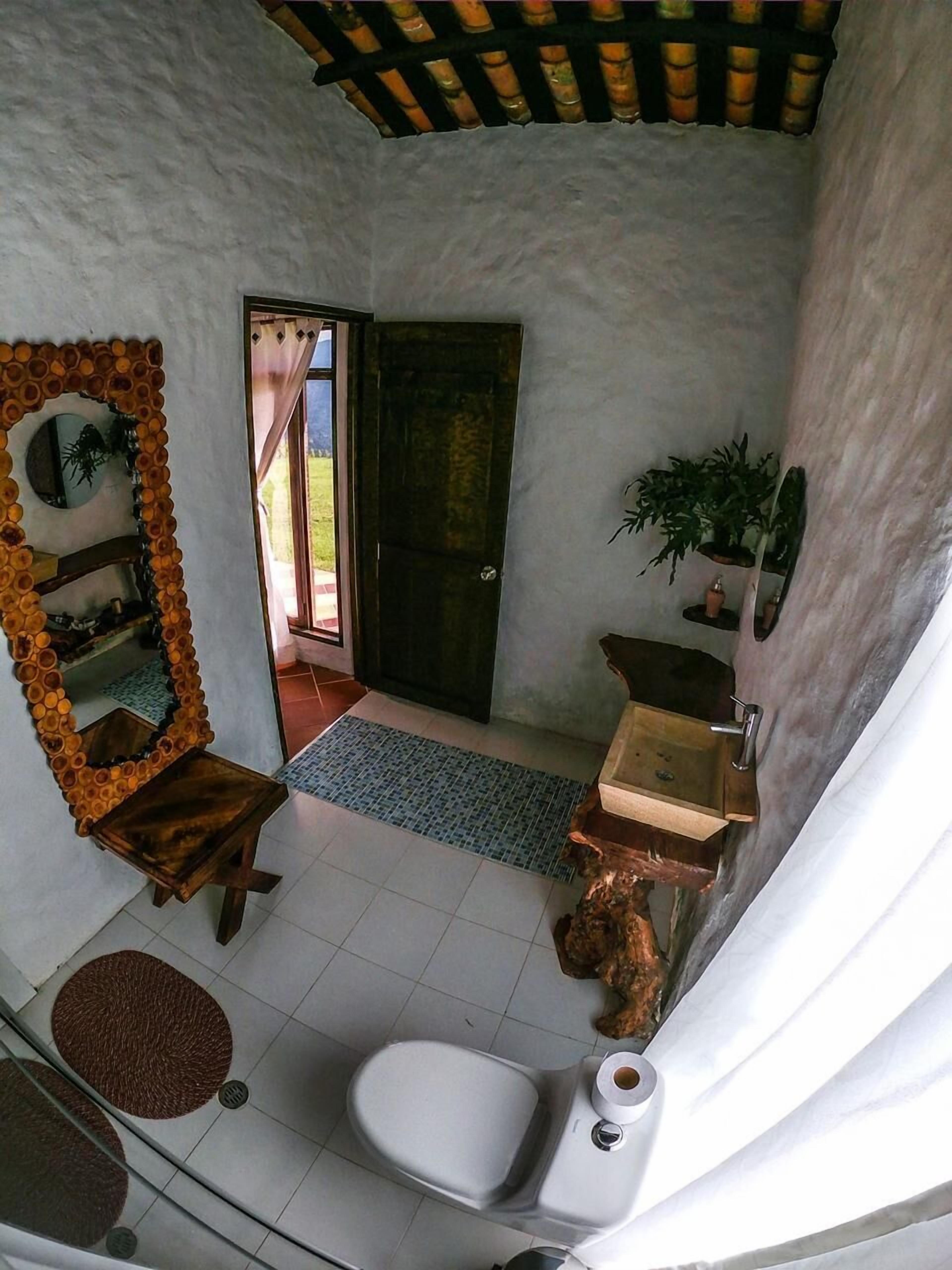 A bathroom with a toilet, sink, mirror, and potted plants.