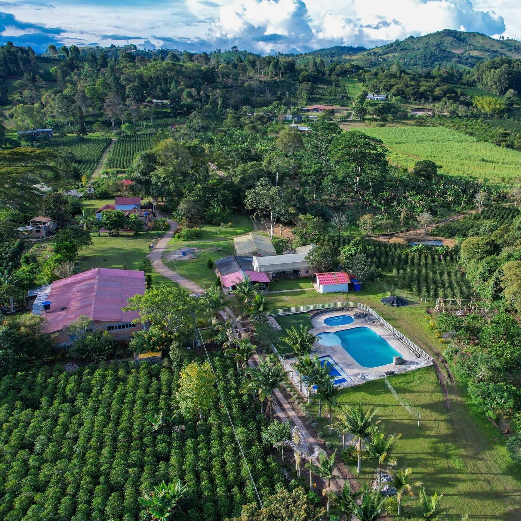 Vista aérea de una propiedad con piscina, varias edificaciones y exuberante vegetación circundante.