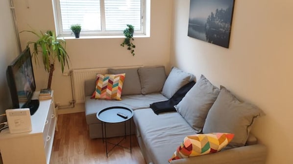 Fernseher, Bücher