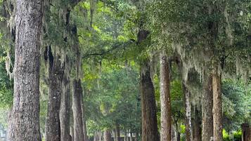 Enceinte de lâhĂ©bergement
