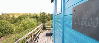 Cuckoo at Wild Valley Huts