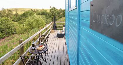 Cuckoo at Wild Valley Huts