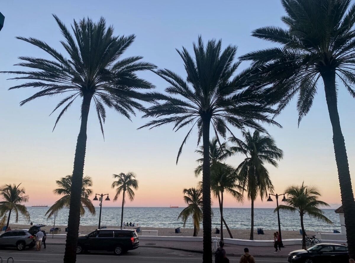 A beachside view with palm trees, a road, and a body of water.