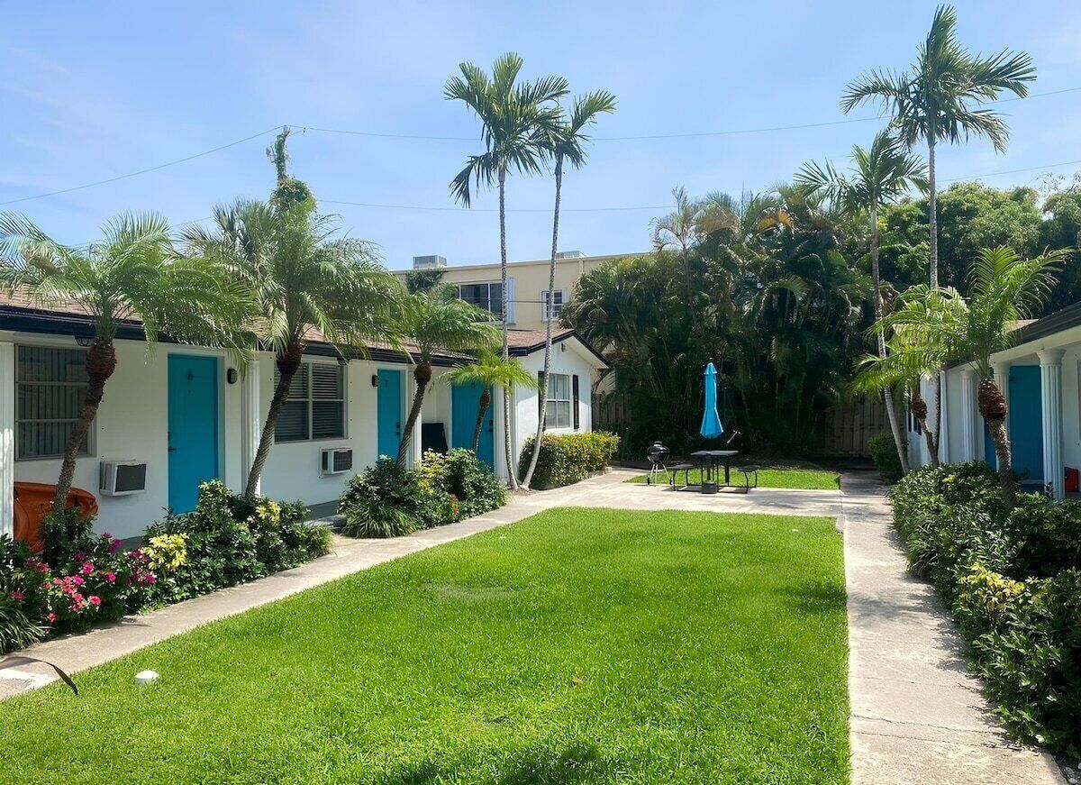 A residential area with houses, a lawn, and palm trees.