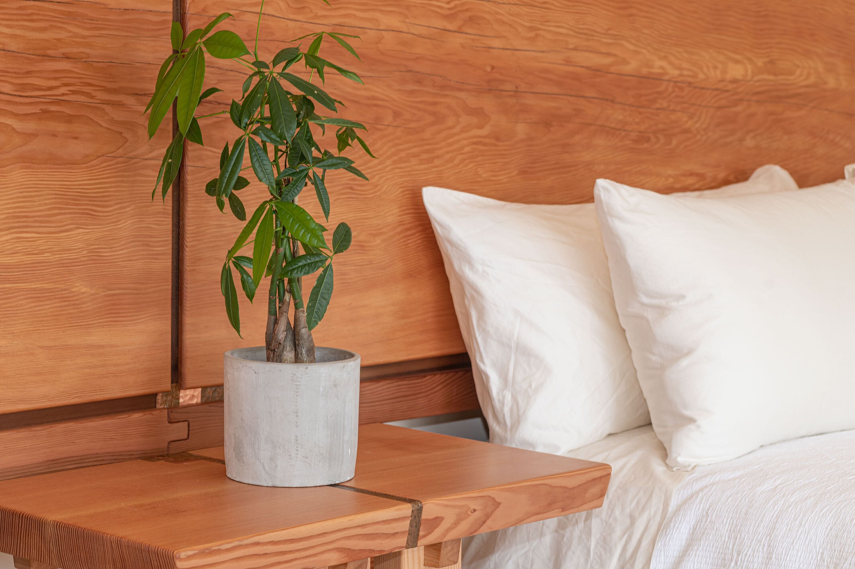 Une tête de lit en bois, agrémentée d’une plante en pot et de coussins blancs sur un lit.