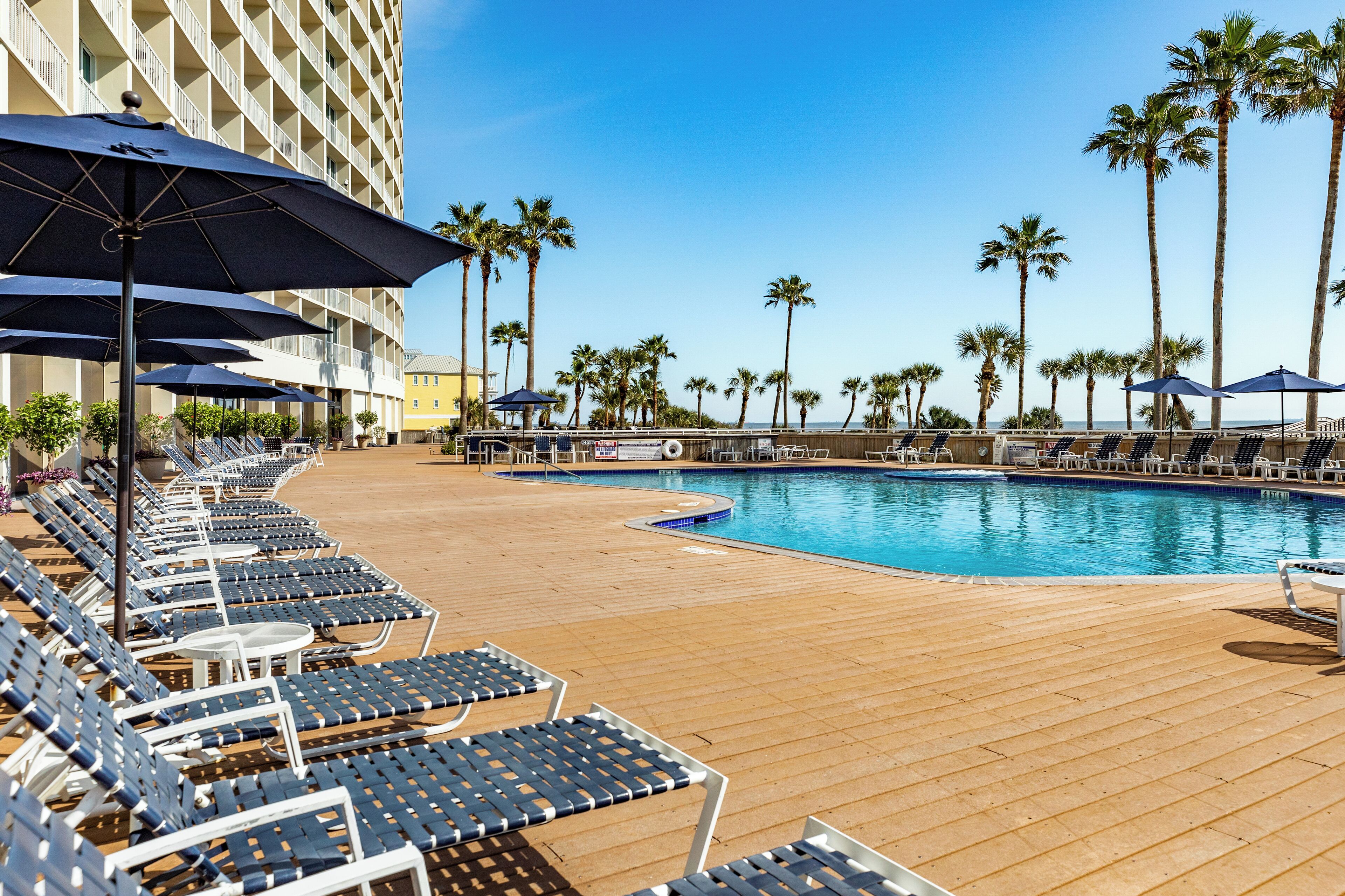A poolside area with lounge chairs and umbrellas, a pool, and palm trees.