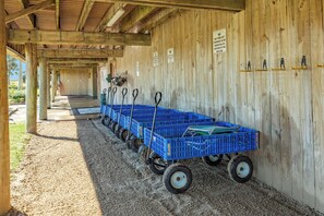 Terrein van de accommodatie