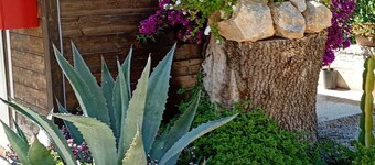 Guest House L'orto di Antonio, surrounded by greenery a few steps from the sea