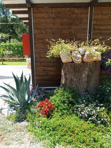Guest House L'orto di Antonio, surrounded by greenery a few steps from the sea 