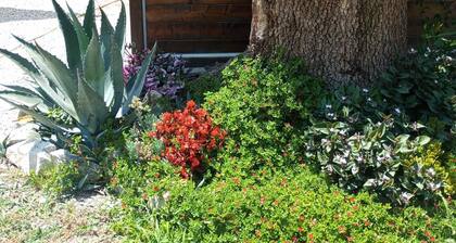 Guest House L'orto di Antonio, surrounded by greenery a few steps from the sea