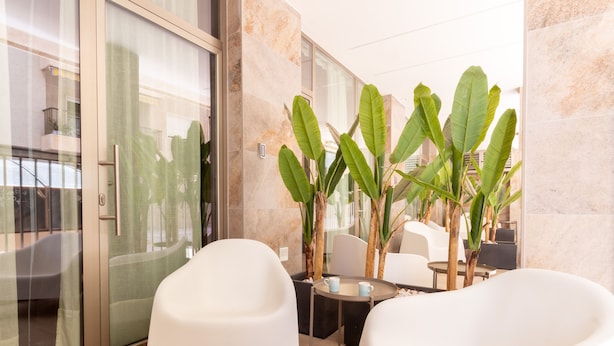 A modern hotel lobby with a glass door leading to a balcony, a seating area with white chairs, and a large potted plant. - Santa Pola Suites (Santa Pola)
