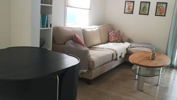 TV, fireplace, books