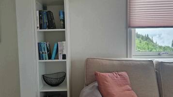 Fernseher, Kamin, Bücher