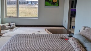 Een moderne slaapkamer met een groot bed, een plafondlamp, een schilderij en uitzicht op een veld.