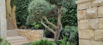 Cute Studio near Yad Vashem. Free street parking.