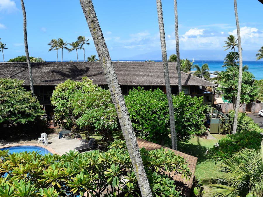 Um edifício com piscina, cercado por vegetação tropical e palmeiras, com vista para um oceano azul e límpido.