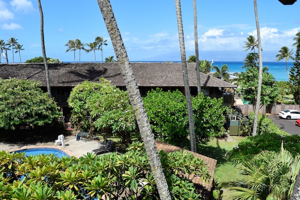 A building with a pool, surrounded by tropical vegetation and palm trees, overlooking a clear blue ocean. - Napili Village Hotel (Lahaina)