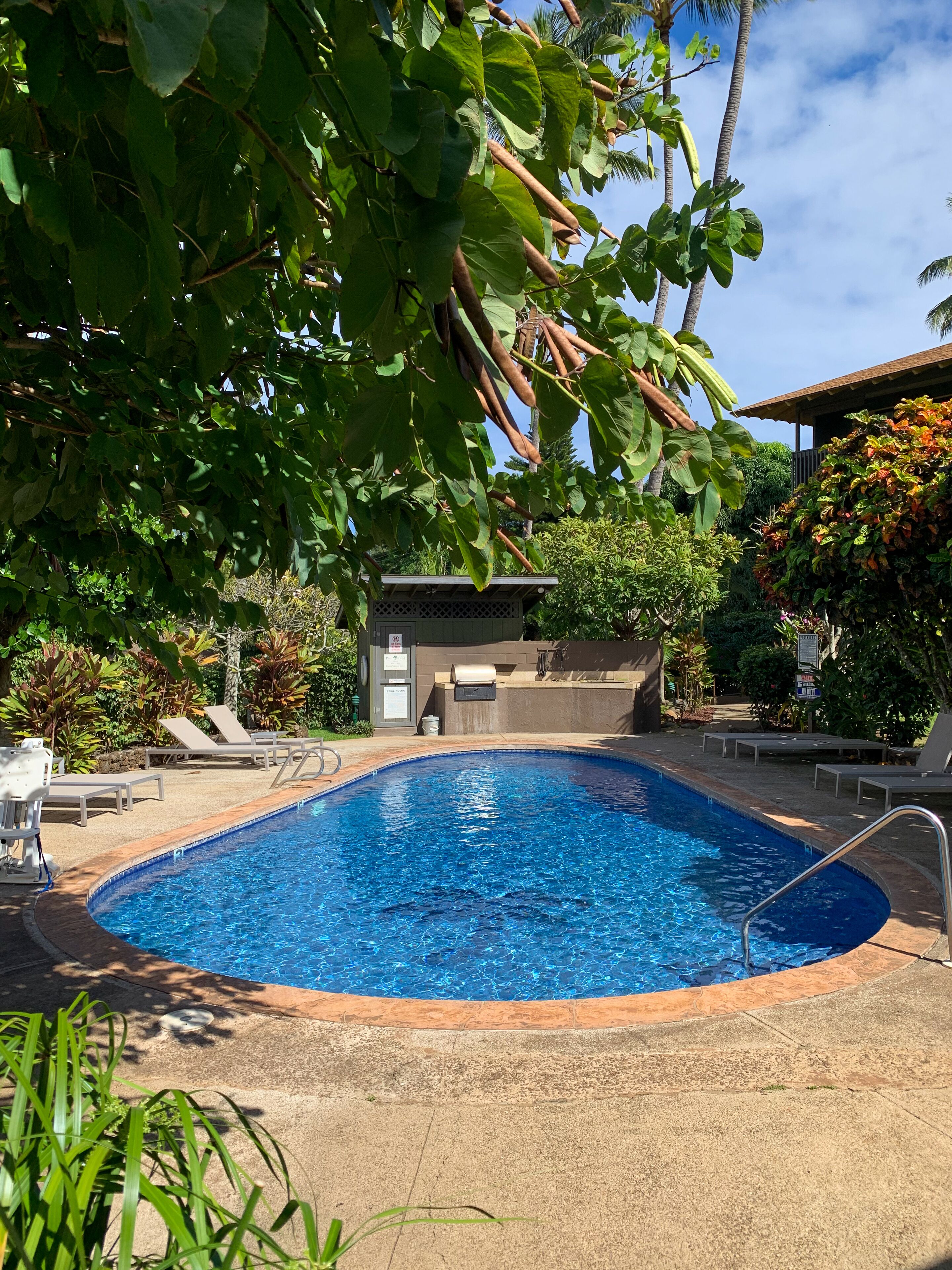 Piscina com espreguiçadeiras e um pequeno edifício ao fundo.