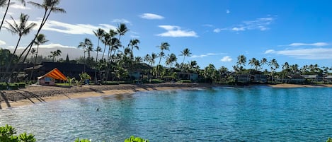 A beach resort with a clear view of the ocean, palm trees, and a building with a striped awning.