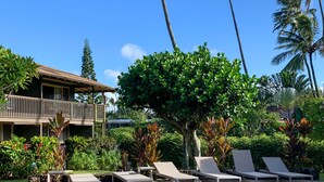 Zona de piscina con sillones de descanso, un edificio con balcón y palmeras.