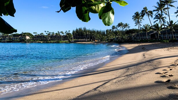 Una playa con agua azul cristalina, palmeras y un resort al fondo.