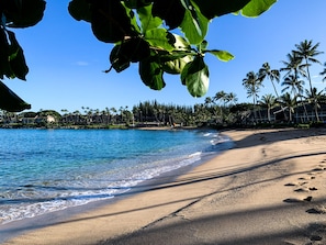 Una playa con agua azul cristalina, palmeras y un resort al fondo.