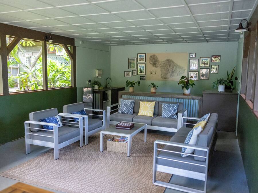 Un salon moderne avec un canapé, des fauteuils et une table basse. Des plantes en pot et des tableaux encadrés décorent les murs.