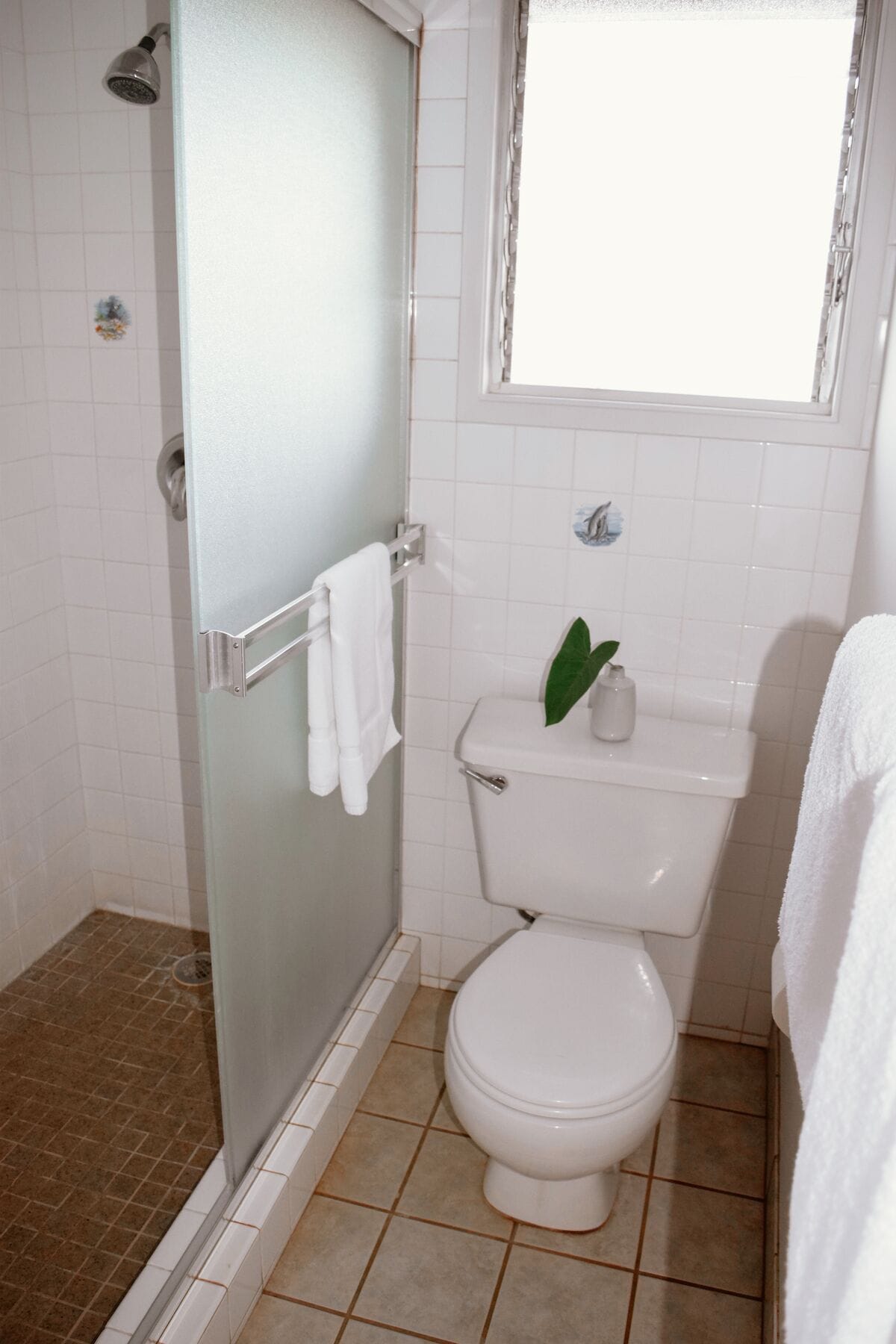 Un bagno con cabina doccia in vetro, un WC e un piccolo oblò sopra il water.