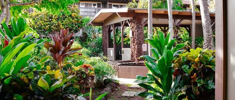 Un jardin agrémenté d’une pergola en bois, de plantes tropicales luxuriantes et d’un sentier menant à un bâtiment doté d’un balcon.