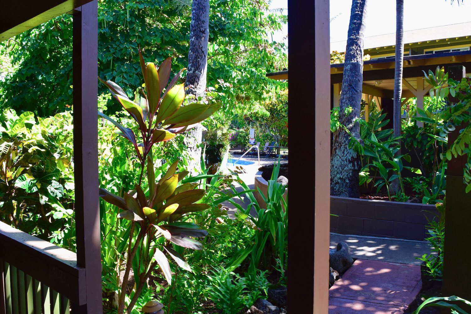 Un giardino rigoglioso con diverse piante e una zona piscina sullo sfondo.