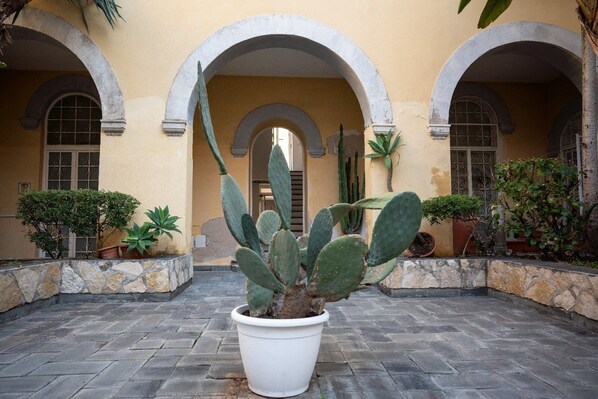 Detalle exterior