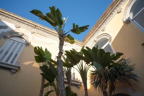 Um pátio com plantas tropicais exuberantes e arquitetura clássica, incluindo janelas em arco e molduras decorativas.