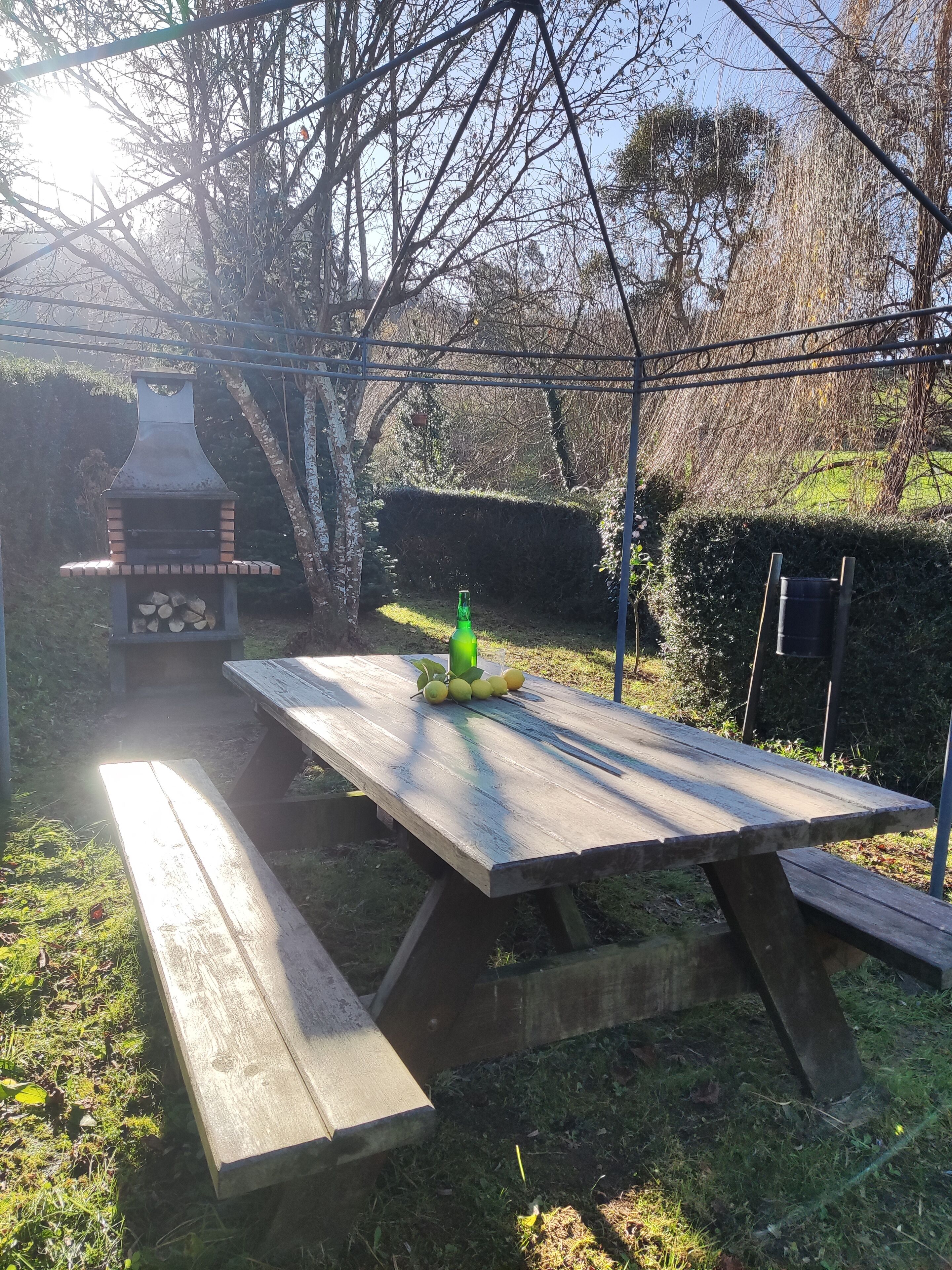 A wooden picnic table with benches, a green bottle, and lemons in a backyard with a barbecue grill and a hedge.