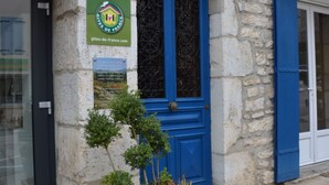 A stone building with a blue door and a potted plant in front.